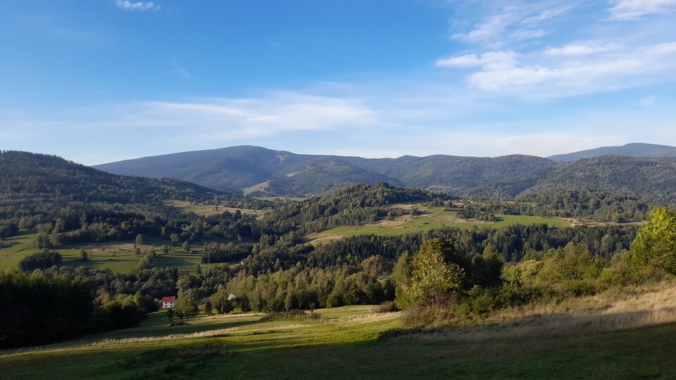 IMG-20240924-WA0002.jpeg - Czarodzieje_alfa