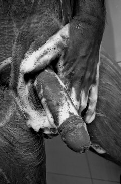 Może wspólny prysznic...?😎😘🤗