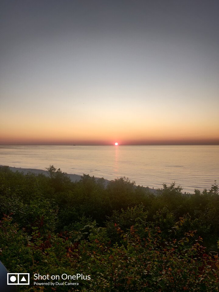 IMG_20230625_212529.jpg - maridamu1963