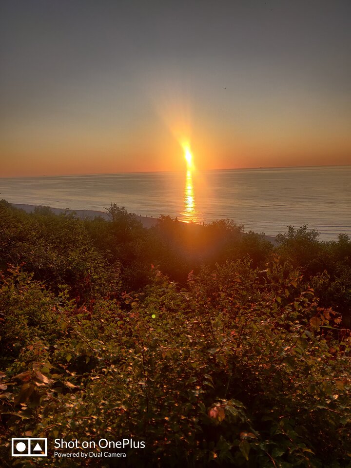 IMG_20230625_210600.jpg - maridamu1963