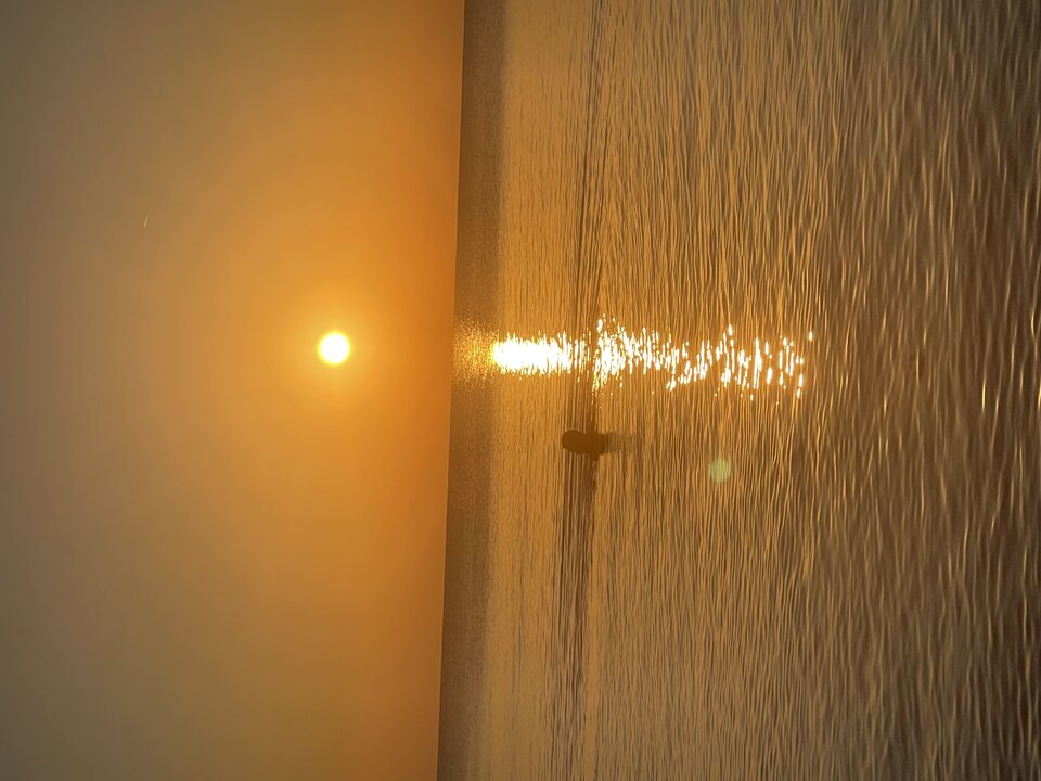 IMG_6468.jpeg - onaion49