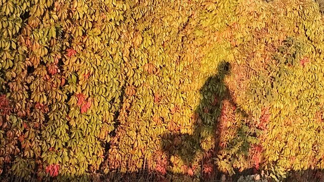 LucyintheSkywithDiamond