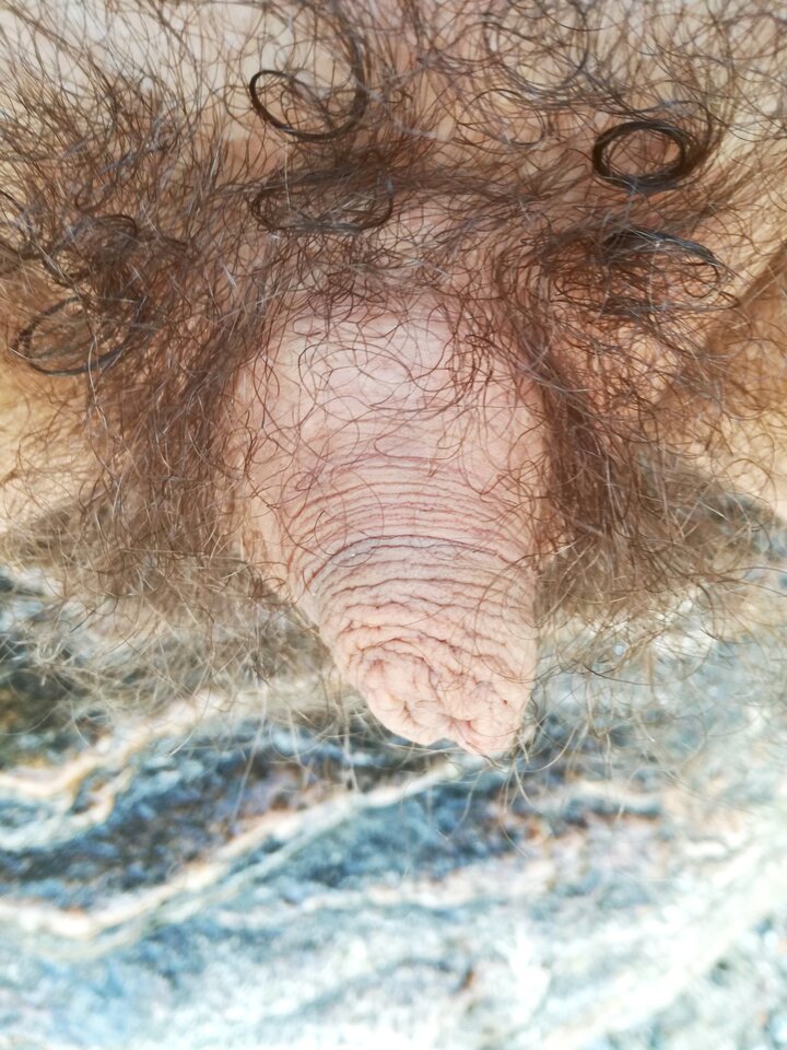 1000012261.jpg - stopkaZkundlem