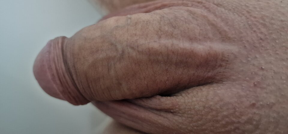 1727285065622221501509811910171.jpg - robin266