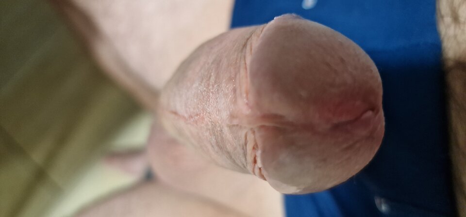 1727320099577985669758162966932.jpg - robin266