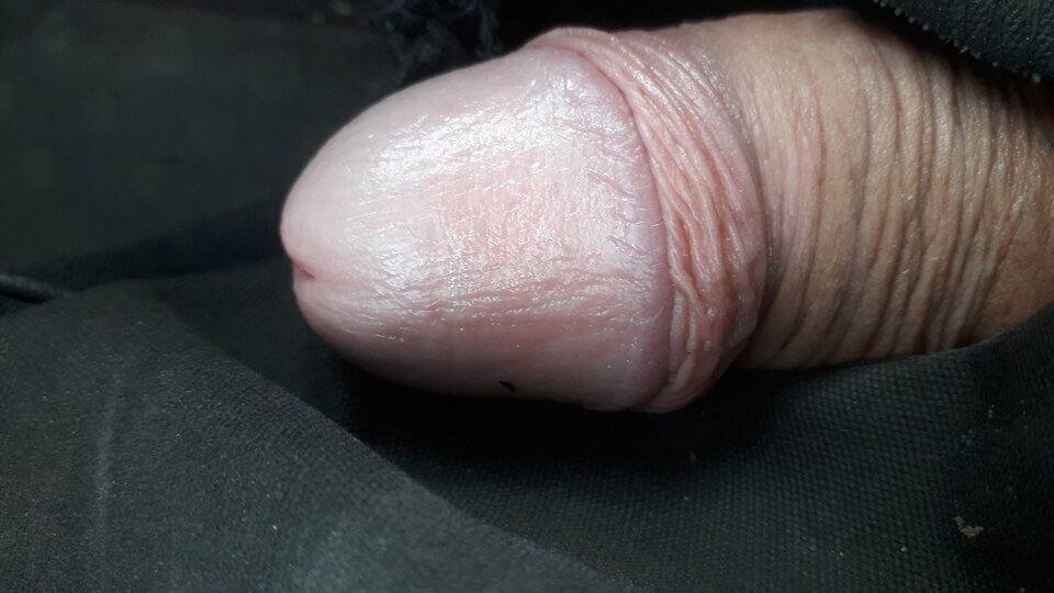 20240926_101741.jpg - 11igor11