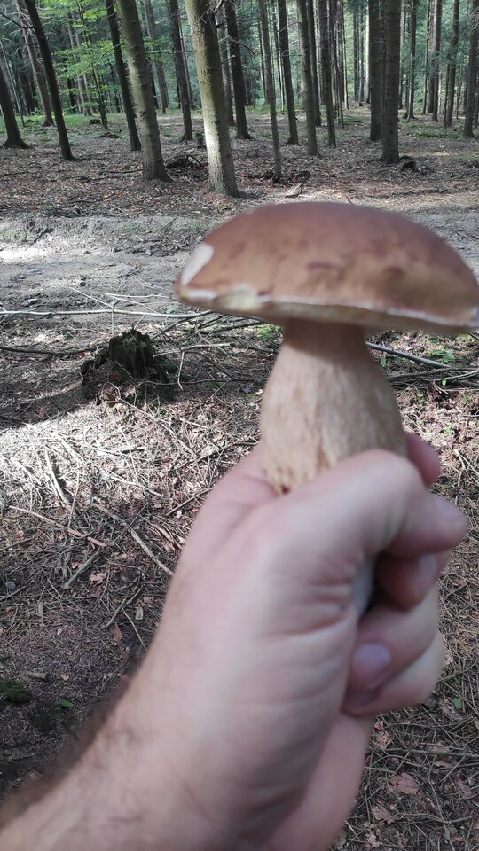 IMG_20240926_111916.jpg - Jakisfacet1