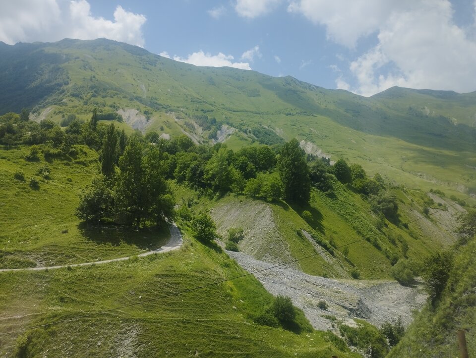 IMG_20240625_131151.jpg - tomekatomek123