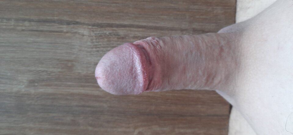 20240927_144110.jpg - lekter84