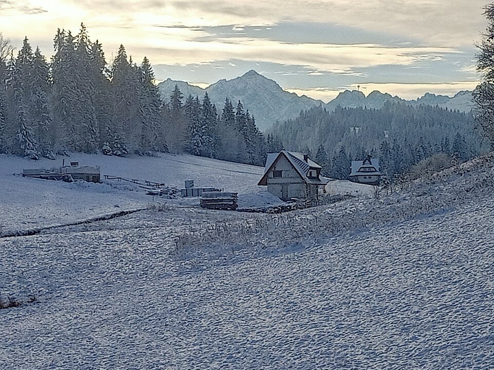 IMG20221120095823.jpg - Lanselot963