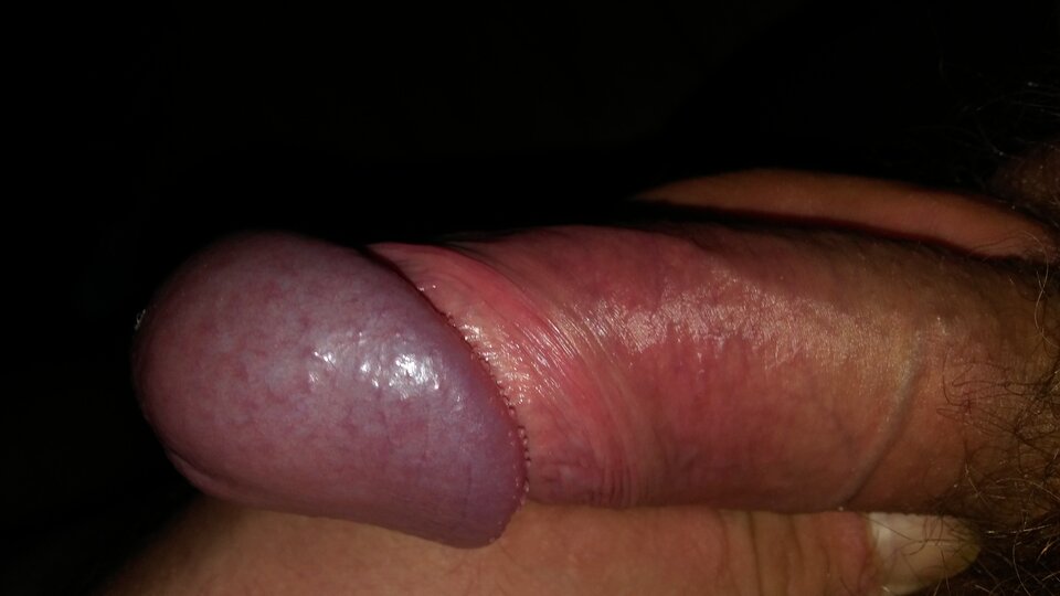 20240928_012647.jpg - pawelik334