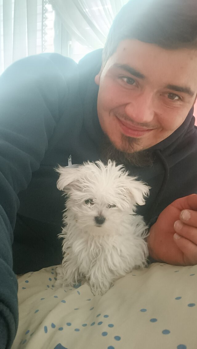 Damiian13377