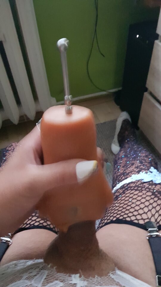 20240921_072458.jpg - bruno1981