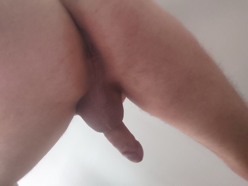 1727500611240385110830054039588.jpg - Giwera86