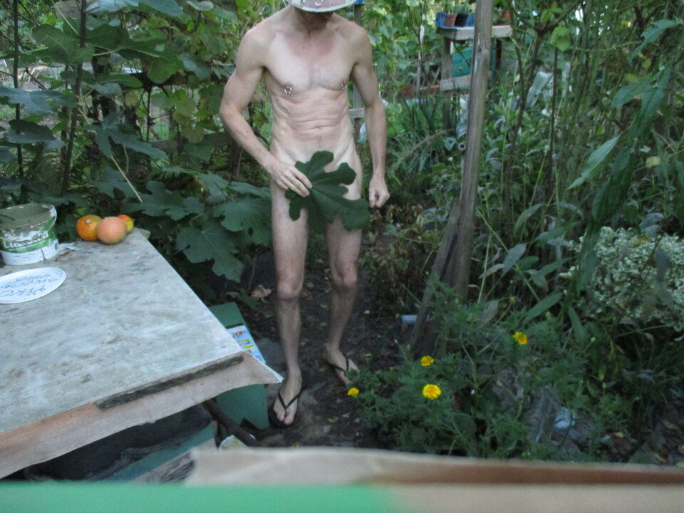 IMG_8816.JPG - gawel35