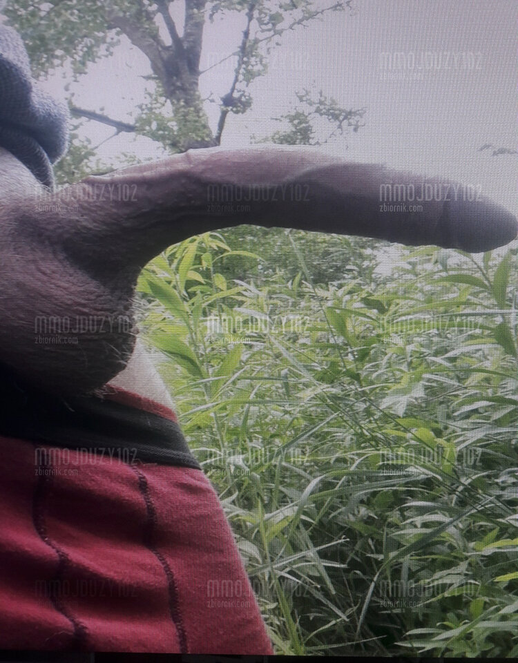 zzt.jpg - mmojduzy102