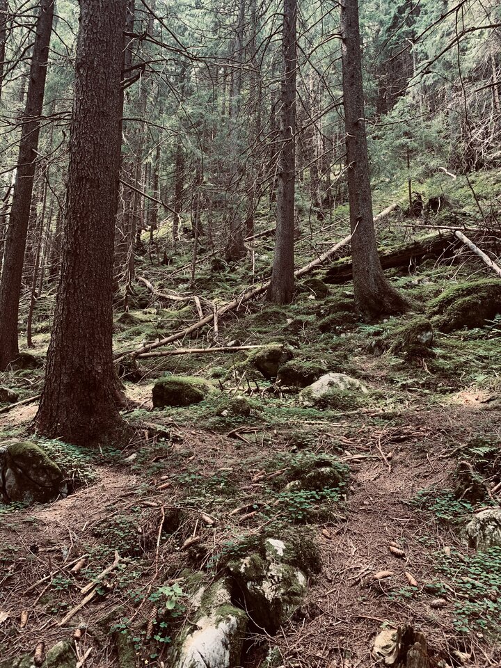 IMG_5394.jpeg - Lukaku78