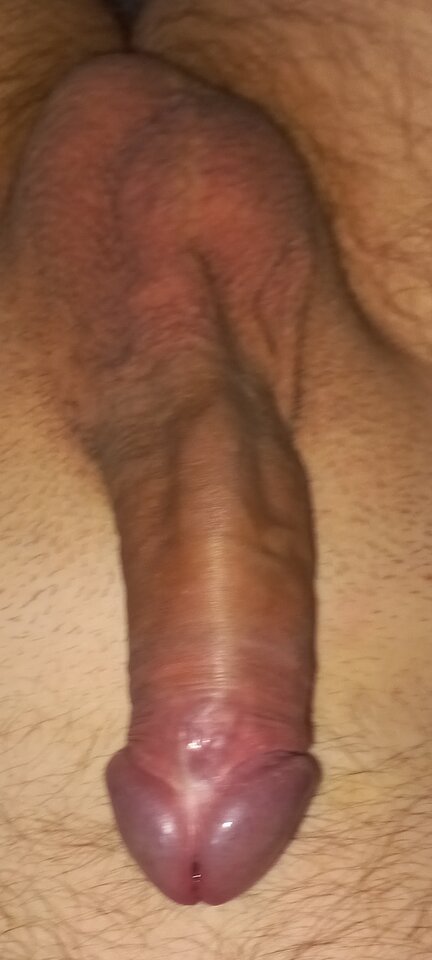 1000004606.jpg - andreas222