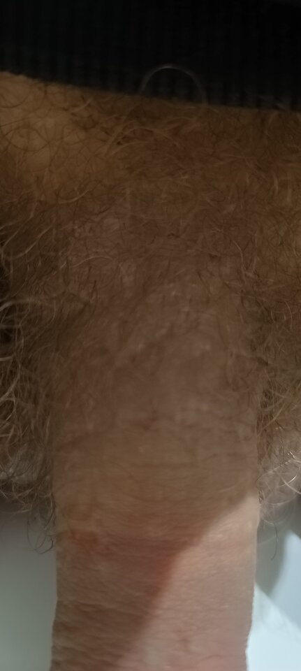 1000009494.jpg - ja_arek