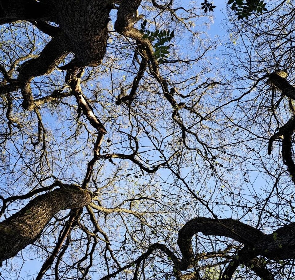 1000018213.jpg - Wystarczajacodobry81