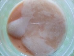IMG_20240929_112709329.jpg