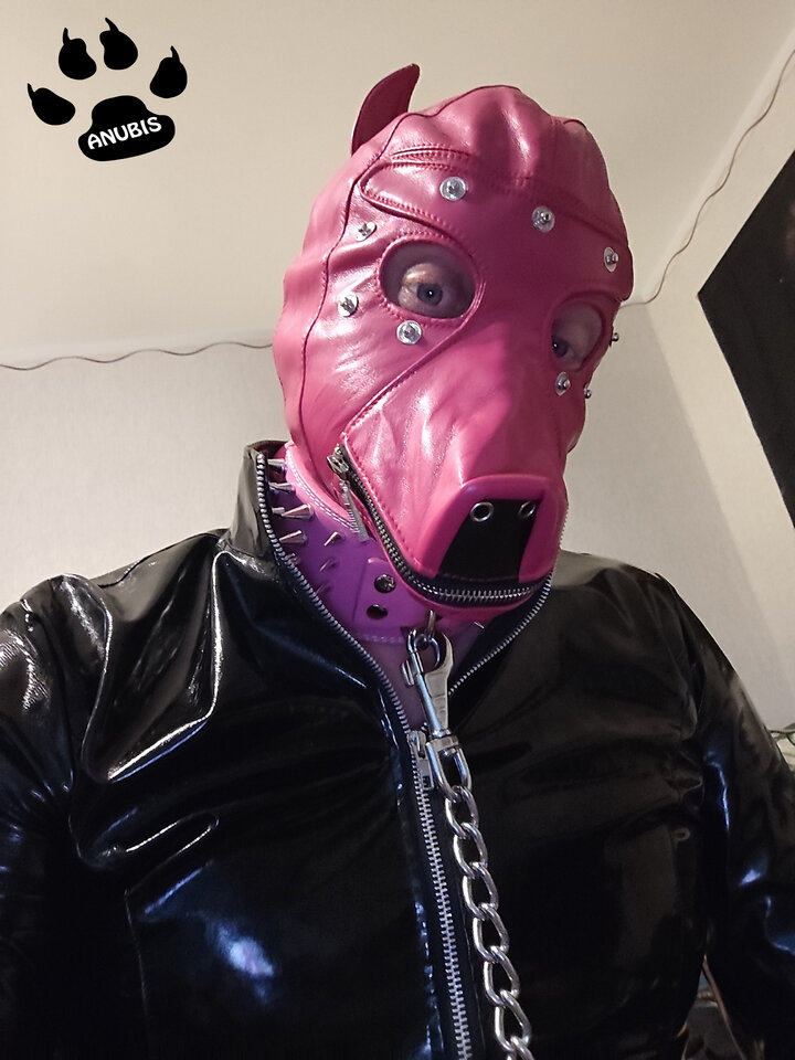 IMG_20240929_065215.jpg - Anubis86PL
