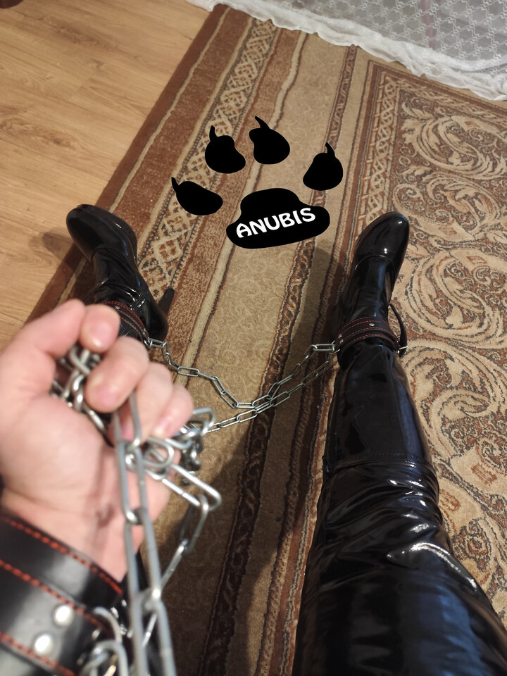 IMG_20240929_065150.jpg - Anubis86PL