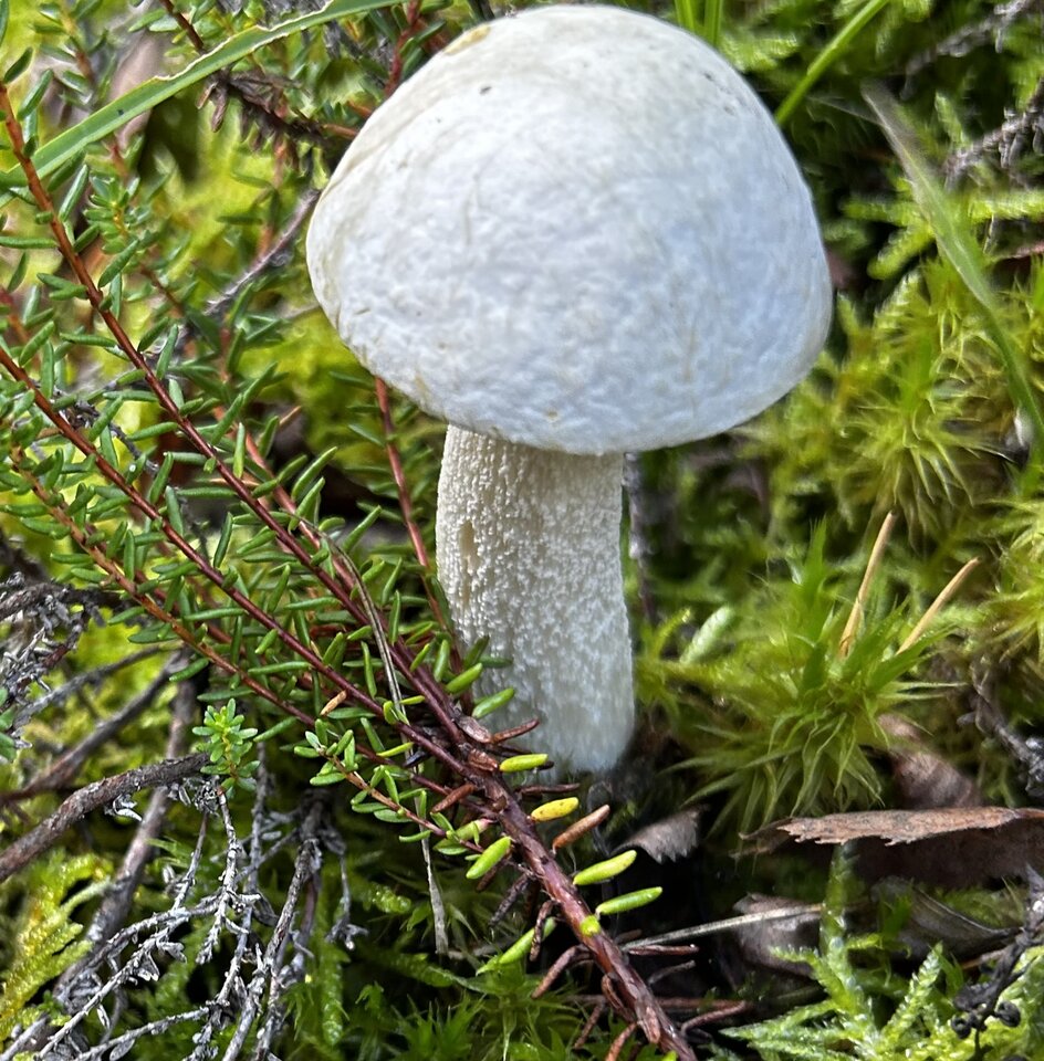 IMG_5084.jpeg - NaturystaXXX