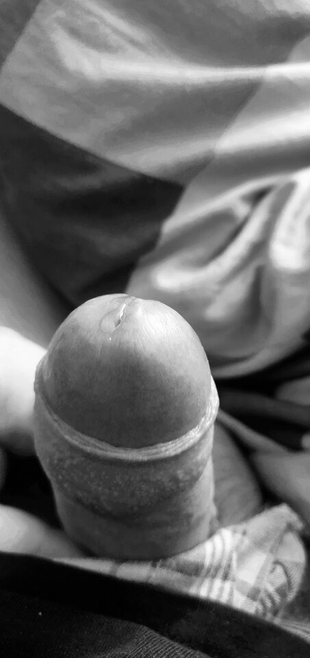 IMG_20240929_141411__01.jpg - fajnykutasek25