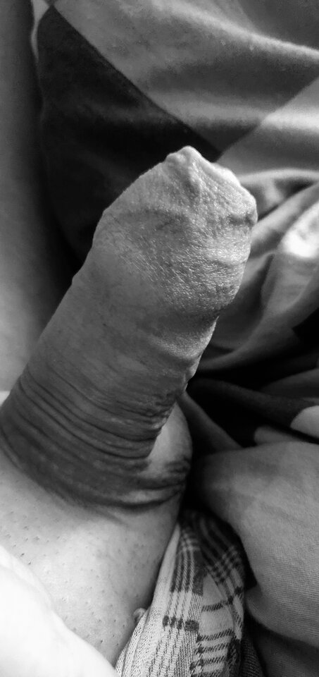 IMG_20240929_140118__01.jpg - fajnykutasek25