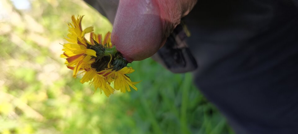 1000009498.jpg - ja_arek