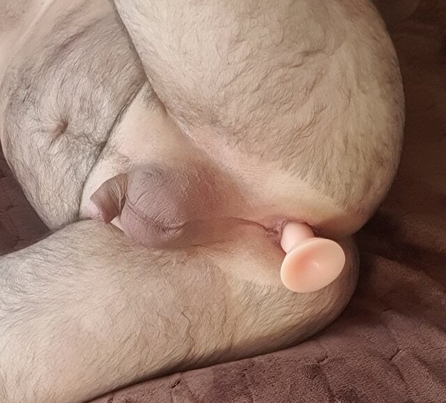 20240925_141336.jpg - aa112