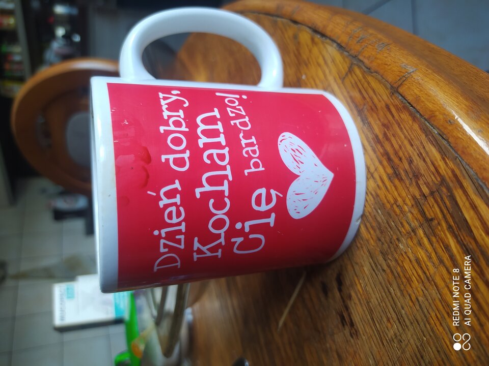 17276171049861076045743259797303.jpg - Tigerek40