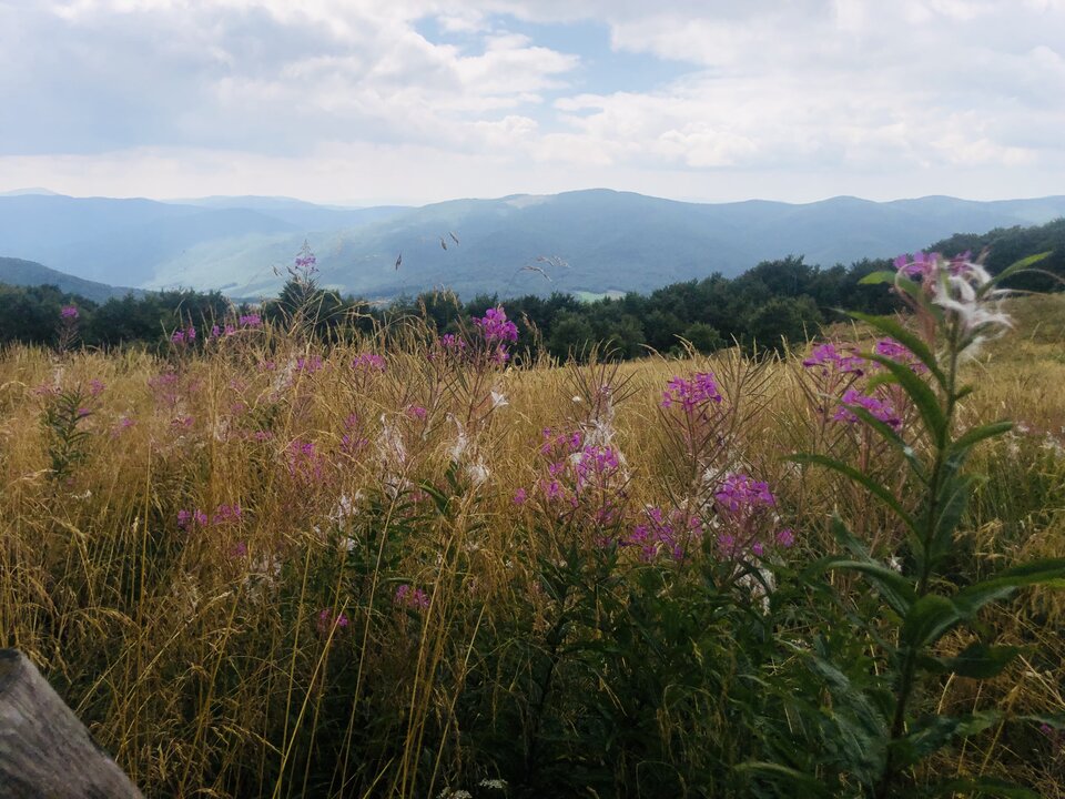 IMG_3486.jpeg - superpara_xyz