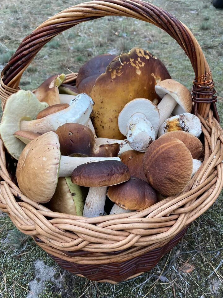 FB_IMG_1727614930518.jpg - arosdj