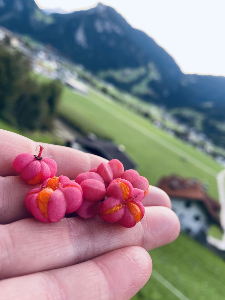 IMG_7345.jpeg - May_Day