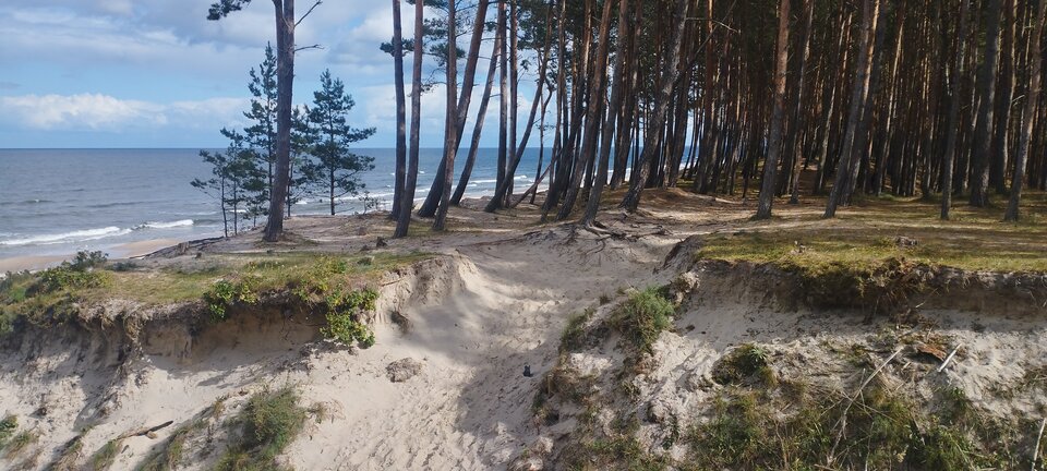 IMG_20240929_120427.jpg - ciekawy62