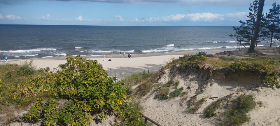 IMG_20240929_120422.jpg - ciekawy62