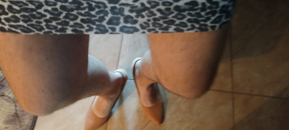 1000007058.jpg - LucynaTrans