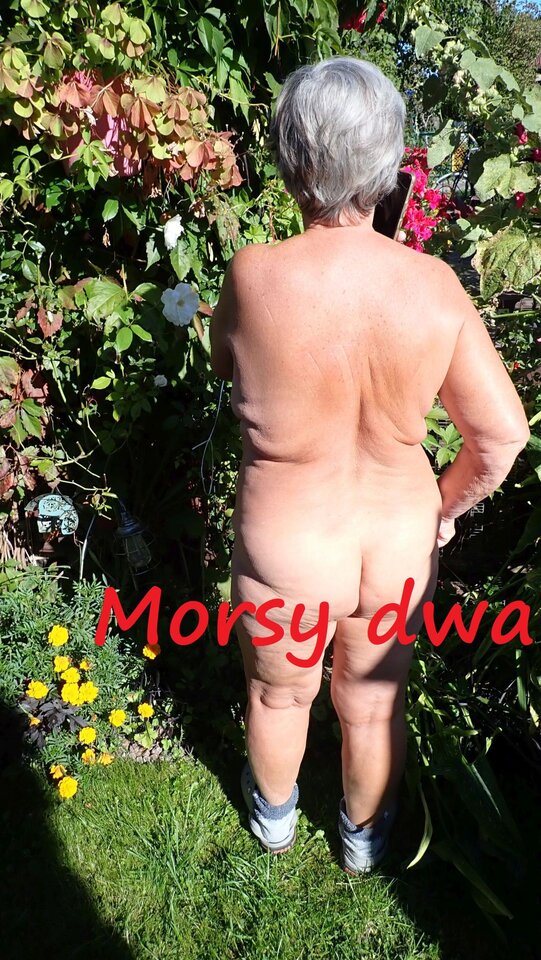 Jesienna sesja. - Morsy_dwa