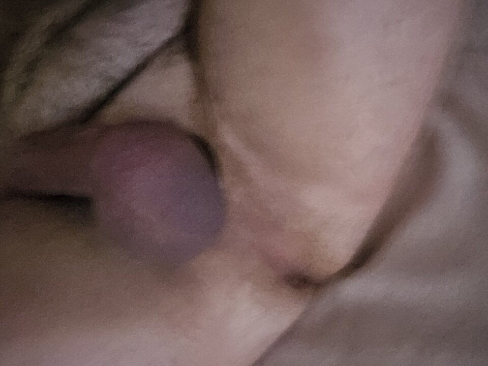 20240930_210139.jpg - Ostrokry