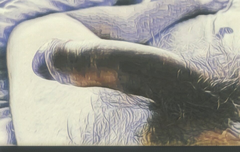 1000000510.jpg - przytulas157