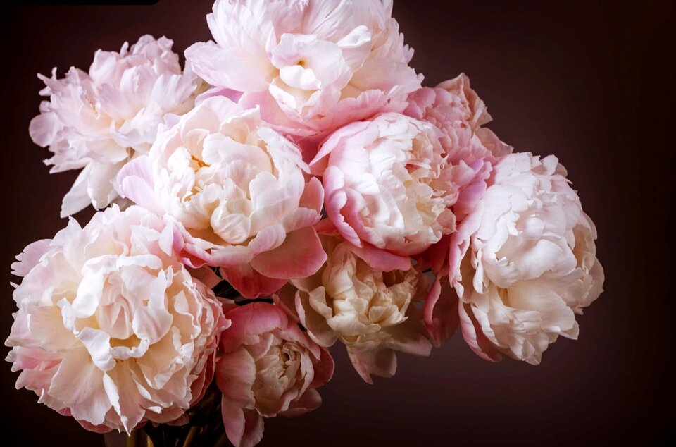 IMG_20241002_093719.jpg - Lady_A