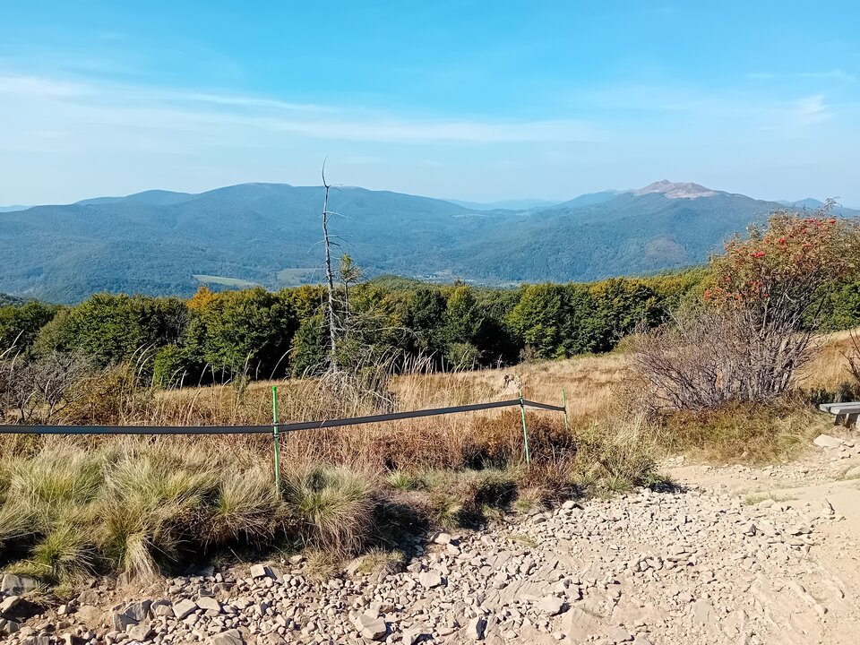 20240924_115421.jpg - Robert2T