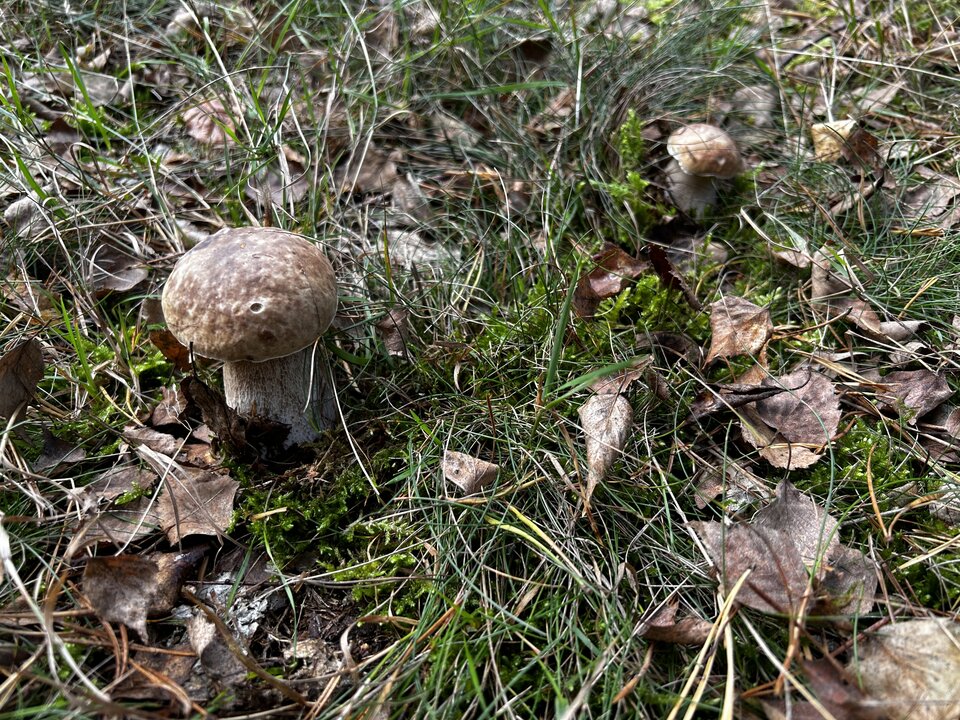 IMG_5238.jpeg - NaturystaXXX