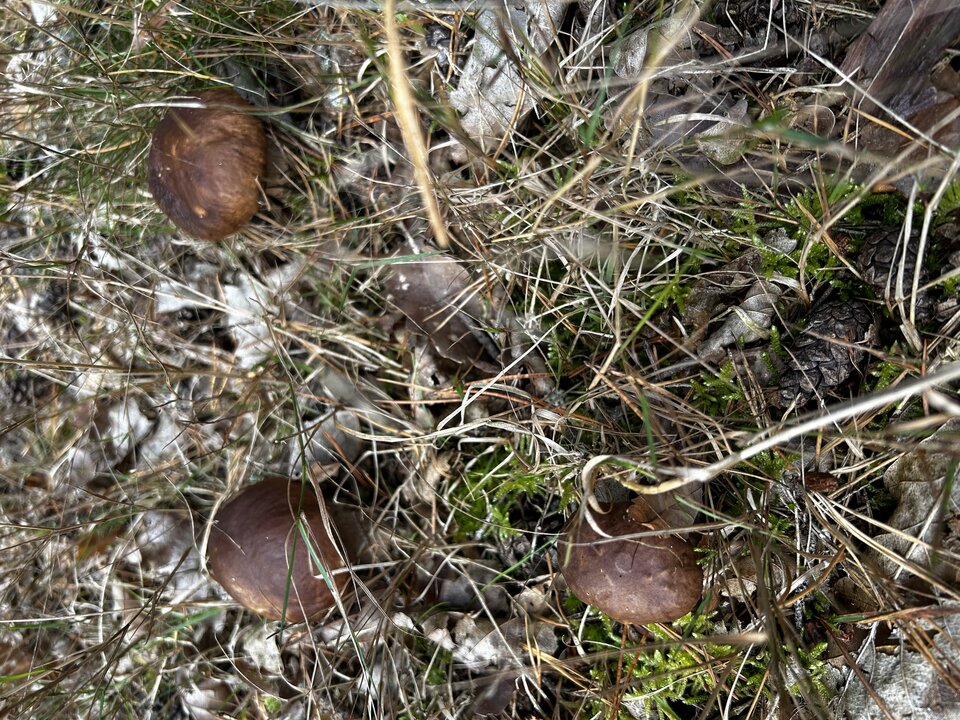 IMG_5236.jpeg - NaturystaXXX