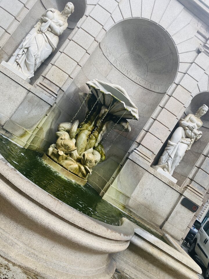 IMG_7500.jpeg - May_Day