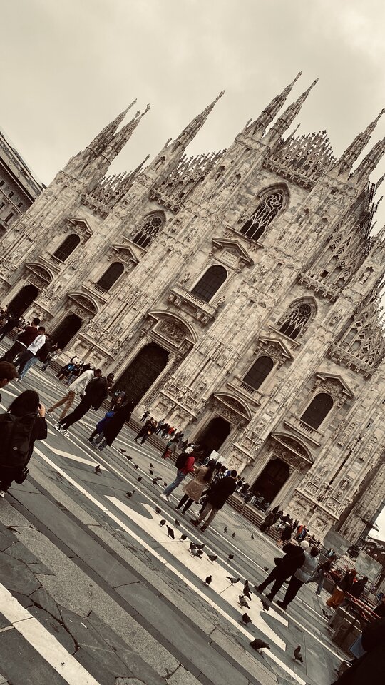 DE9857A3-6A5F-4BAE-B324-0C0C97AB7765.jpeg - May_Day