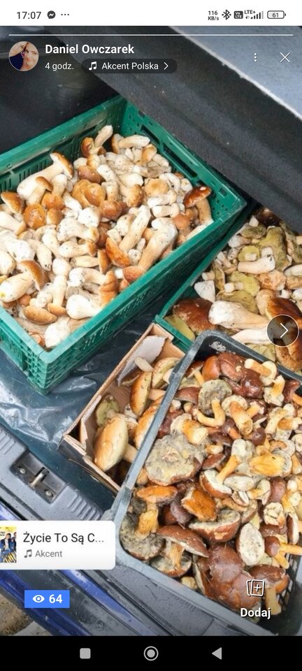 1000002614.jpg - Laryyyt