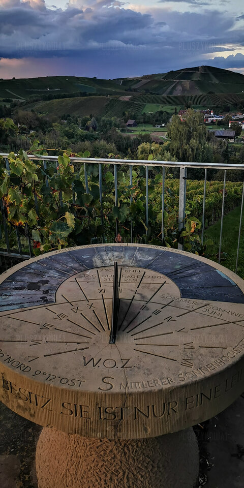 IMG_20240928_185402.jpg - Pluszykowa1